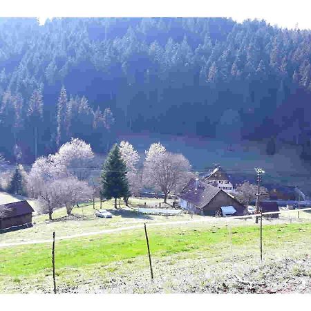 Ferienhaus Schwarzwald Seewald Erzgrube Badesee 100% Natur ภายนอก รูปภาพ