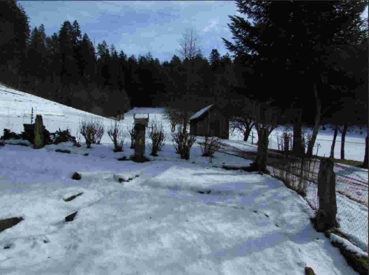Ferienhaus Schwarzwald Seewald Erzgrube Badesee 100% Natur ภายนอก รูปภาพ