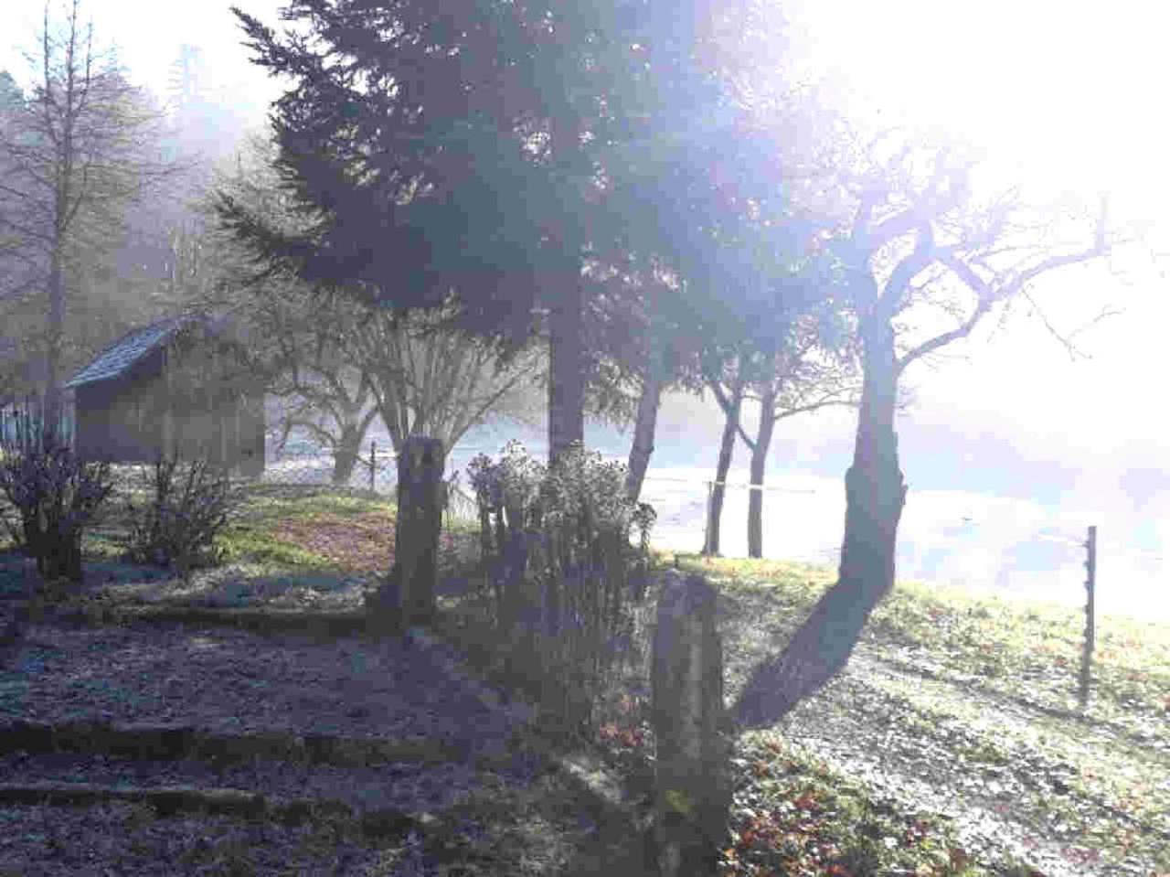 Ferienhaus Schwarzwald Seewald Erzgrube Badesee 100% Natur ภายนอก รูปภาพ
