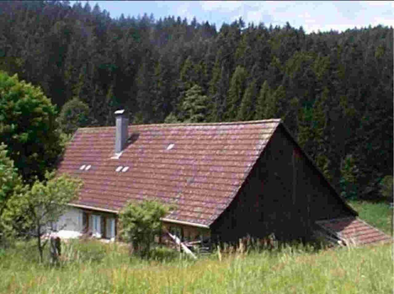 Ferienhaus Schwarzwald Seewald Erzgrube Badesee 100% Natur ภายนอก รูปภาพ